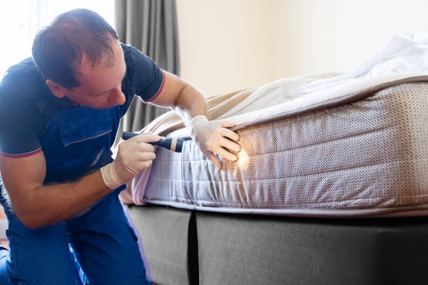 Best Bed Bug Extermination  in Heath, OH